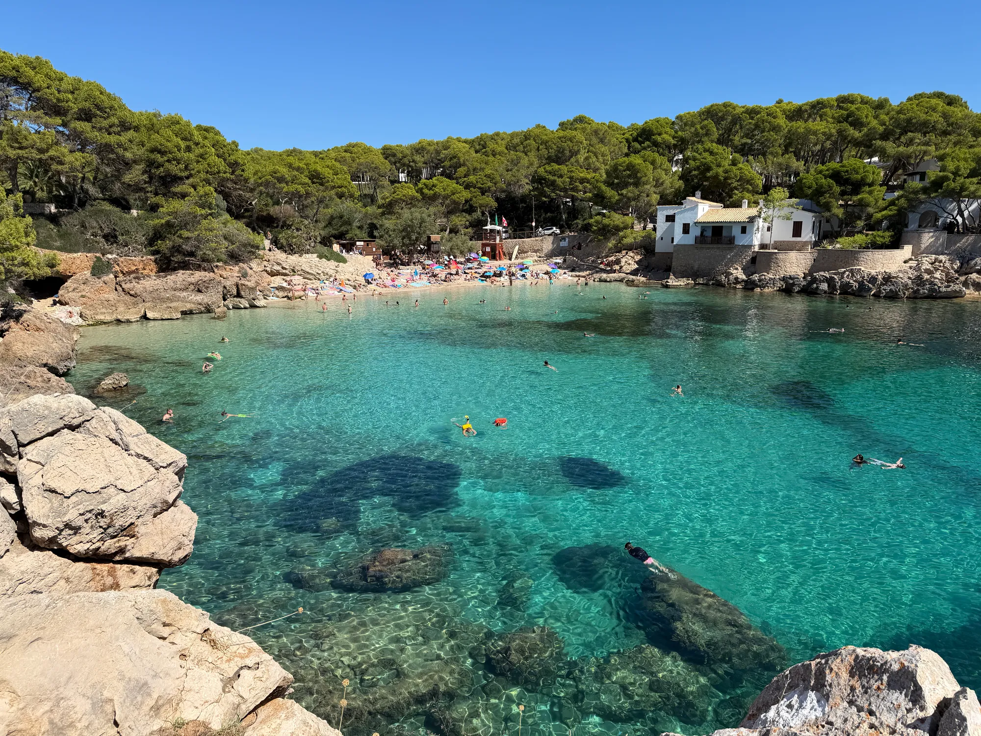 A turquoise cove framed by pine trees on the northeast coast of Mallorca